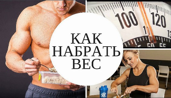 6 советов для набора веса