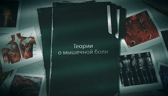 Есть несколько теорий о мышечных болях