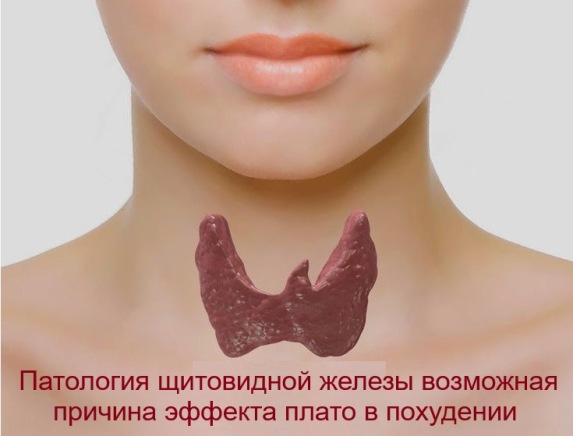 Важно проверить работу щитовидной железы