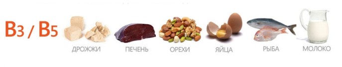 Польза витамина в3