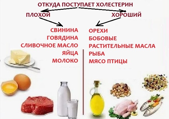 Плохой и хороший холестерин откуда поступают