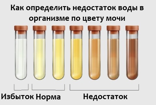 Как определить что в организме мало воды