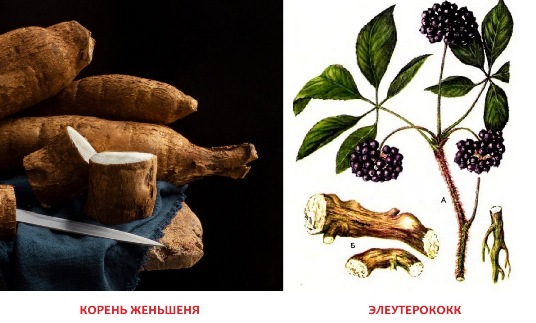 Народные средства для повышения давления